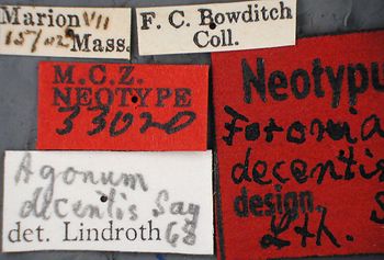 Media type: image;   Entomology 33020 Aspect: labels 3